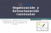 Organización y Estructuración Curricular