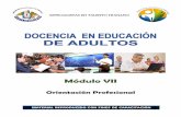 Modulo 7-Docencia Educacion Adultos