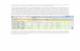 SAP: Resetear Parametro Excel