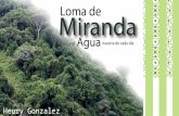 Loma Miranda Hgm 12-0753