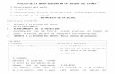 IDENTIFICACIÓN CRIMINALISTICA texto.docx