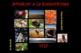 9. Amenazas a La Biodiversidad