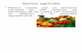 Sector Agrícola