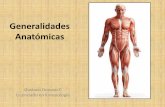 Masoterapia Generalidades anatómicas