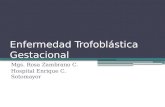 4. Enfermedad Trofoblastica Gestacional