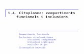 1.4 Compartiments funcionals citoplasma.ppt
