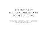 5-Sistemas de Entrenamiento en Bodybuilding