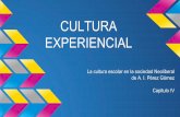 Didactica - cultura experiencial.pdf