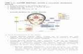 Tema 2.1Sistema Nervioso.diseño y Circuitos Neuronales Básicos.pdf