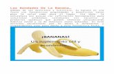 Las Bondades de La Banana