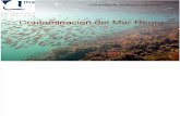 Contaminacion Del Mar Negro ES