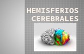 Hemisferios cerebrales (1)