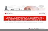 Int Cnpic Identificacion Reporte Incidentes