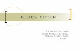 BIENES Giffen Analisis 01
