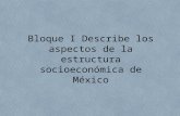 Estructura Socioeconomica de México_1