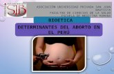 Aborto Bioestica