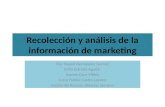 Recoleccion y Analisis de La Info de Marketing