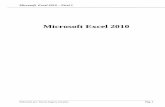 Manual Excel 2010-1