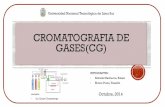Cromatografia de Gases