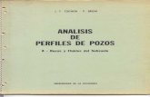 Analisis de Perfiles de Pozos - J F Tognon P Bruni