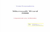 Microsoft Word 2000-2003