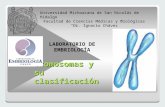 Cromosoma y Clasificacion Prepractica Oct2014 (1) (1)