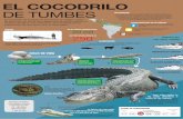 Infografía El Cocodrilo de Tumbes - Mariana Cortijo