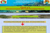 2.3 Producción en Los Ecosistemas (1)FDGF