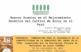 Avances en El Mejoramiento Genético Del Cultivo de Arroz en el Perú