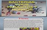 Diapositivas de Virus, Hongos y Metodos de Esterilizacion
