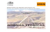Norma Tecnica MBN 2010, Chile