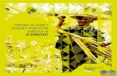 CADENAS DE VALOR Y PEQUEÑA PRODUCCION AGRICOLA EN EL PARAGUAY - PORTALGUARANI