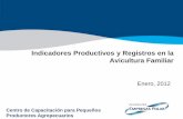 10.Indicadores Productivos y Registros en Avicultura Familiar.pdf