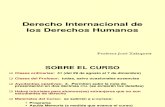 diapositivas derecho internacional de los derechos humanos