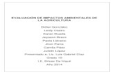 EVALUACIÓN DE IMPACTO AMBIENTALE DE LA AGRICULTURA EN EL CAÑO BRISAS DE IRIQUÉ .docx