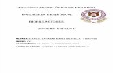 Biorreactores Unidad II 2.pdf