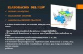 ELABORACION  DEL PESV.pdf