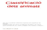 Joc Classificacio d Animals