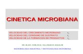 3.1. Cinetica Microbiana