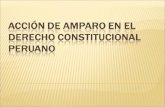 Acción de amparo en el Derecho Constitucional Peruano.ppt