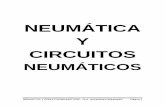 Libro de Neumatica y Circuitos Neumaticos