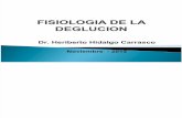 FISIOLOGIA DE LA DEGLUCION.ppt