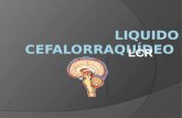 Liquido Cefalorraquideo. LCR - Copia