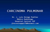 Carcinoma Pulmonar Dr. Orrego 2014-II Usmp