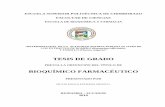 Dterminacion de La Actividad Antibacteriana. Los Extractos de Romero y Tomillo