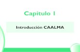 1_Introduccion CAALMA
