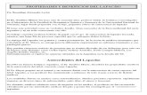 Propiedades y Beneficios Del Lapacho (Bis) (1)
