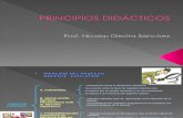 Principios Didacticos