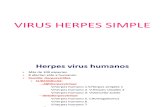 INFECTO HERPES.pptx