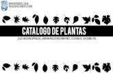 Catalogo Plantas Ep